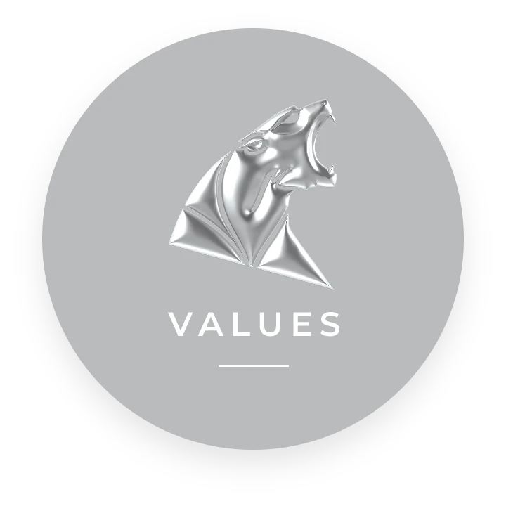 Values