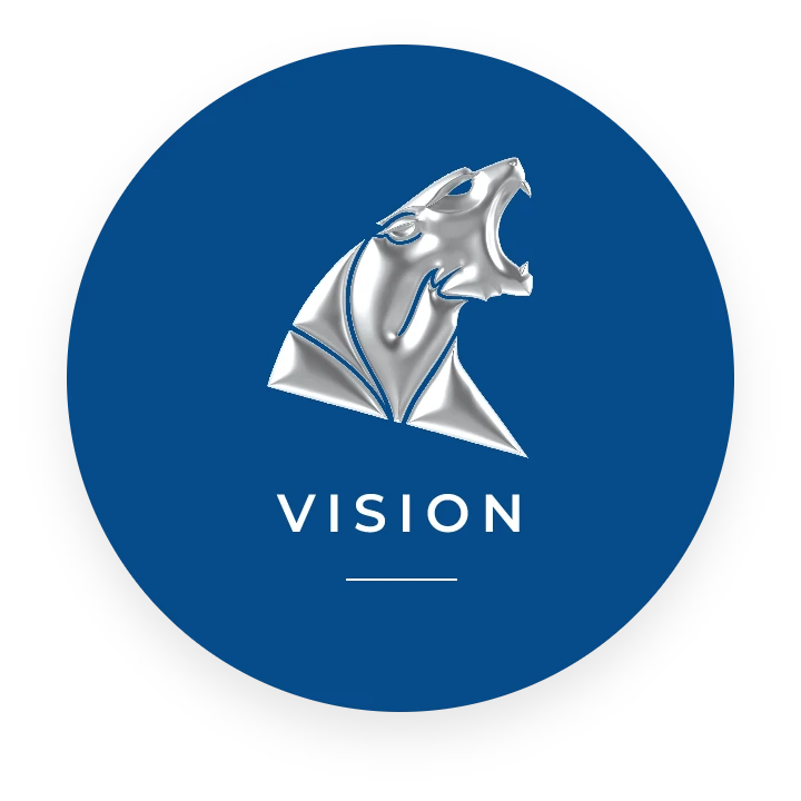 Vision